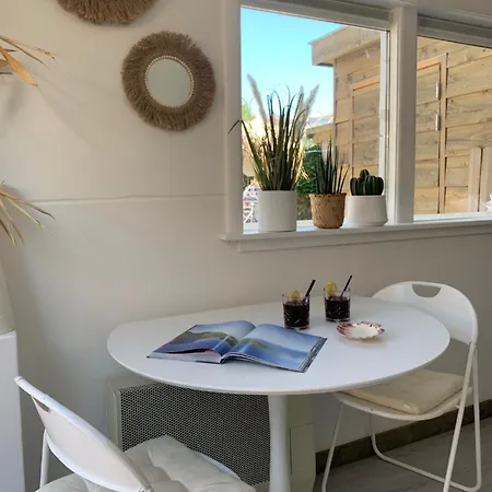 Bed & Breakfast Meerpaal 43